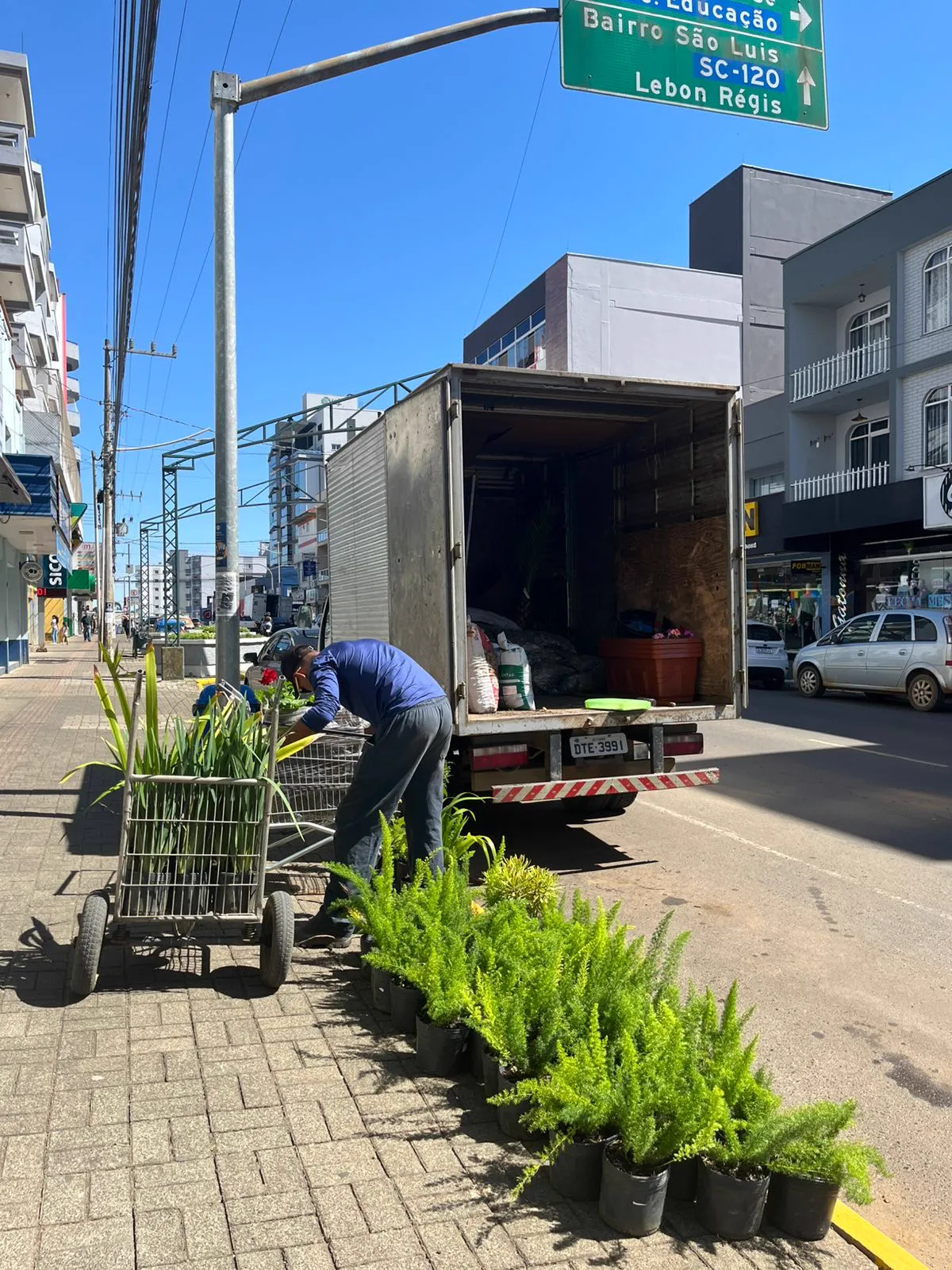 Equipe descarregando plantas do caminhão da Garden Center numa rua de Lages