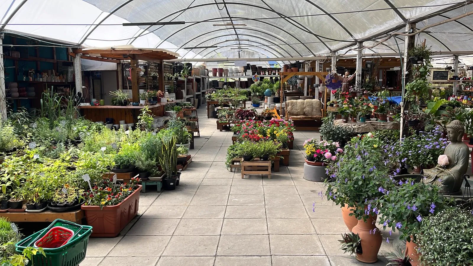 Interior da estufa da Garden Center, com plantas e vasos dos dois lados do corredor