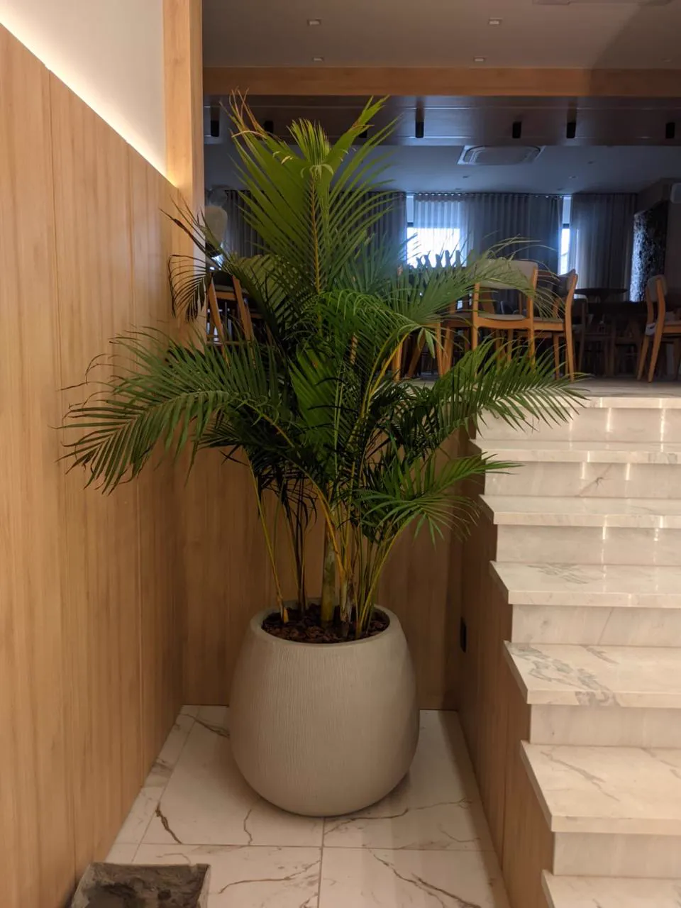 Palmeira em vaso num hall com escada