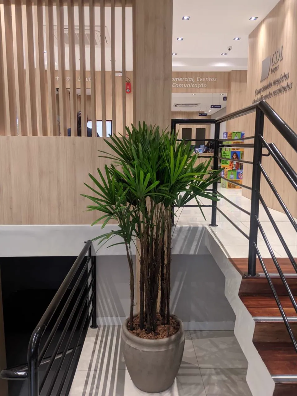 Planta em vaso grande num hall de prédio